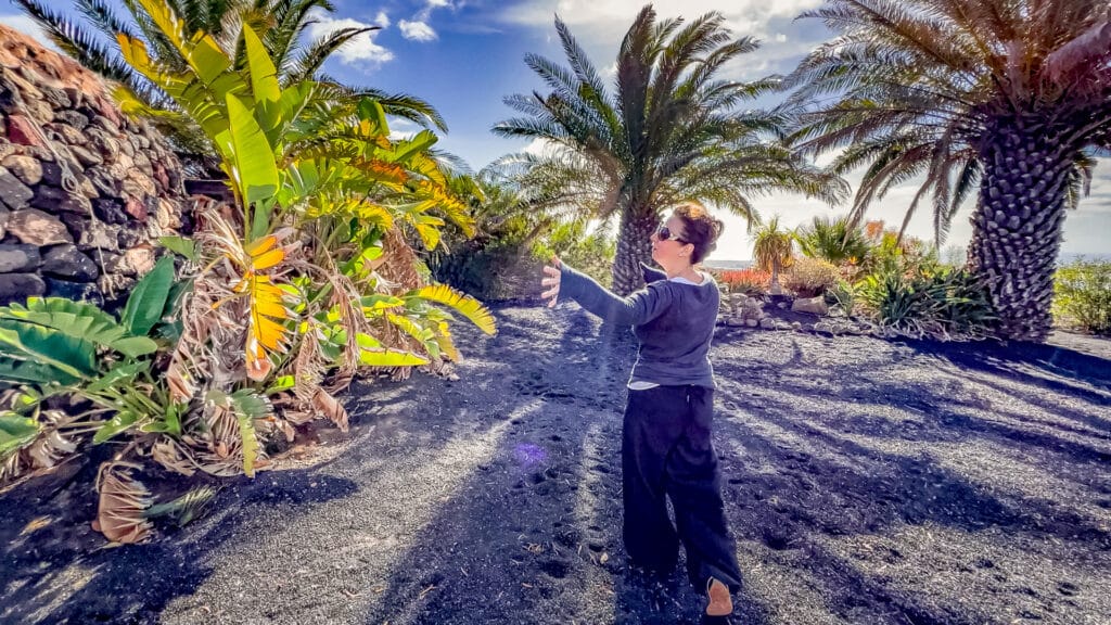 Finca y Arte 20